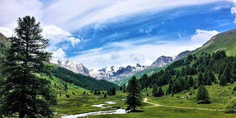 Vallon du Lauzanier