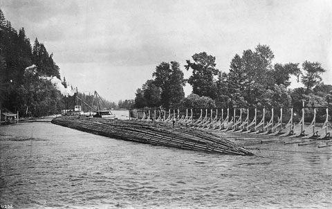 Train de bois Benson qui vient de sortir du ber, Californie, 1900